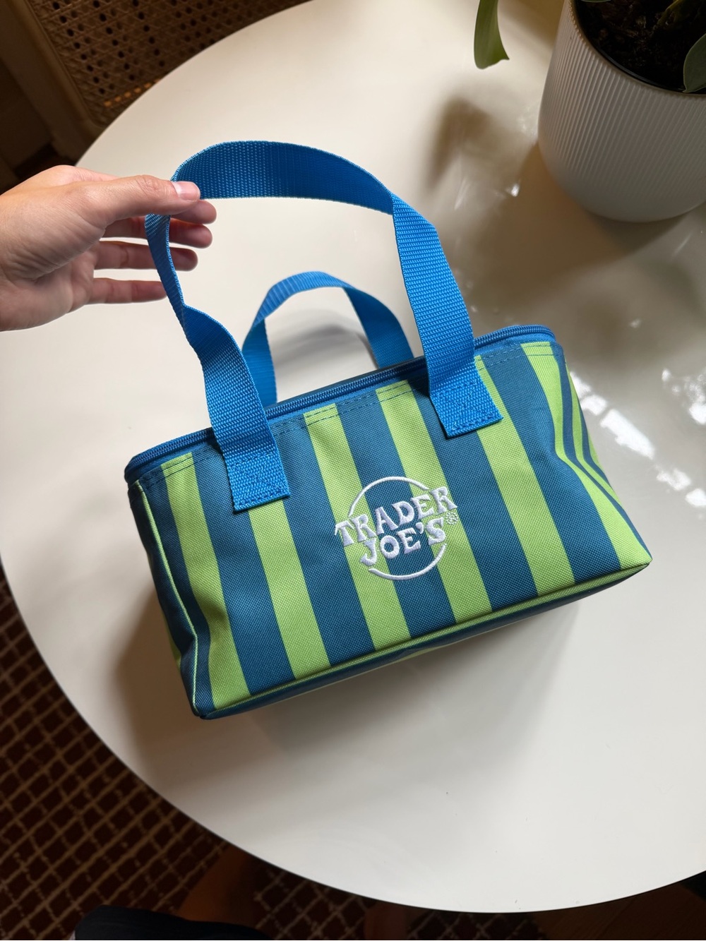 Blue and Green Striped Mini Trader Joe’s Cooler